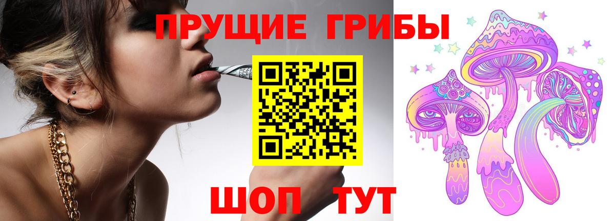Псилоцибиновые грибы Psilocybine cubensis Сибай